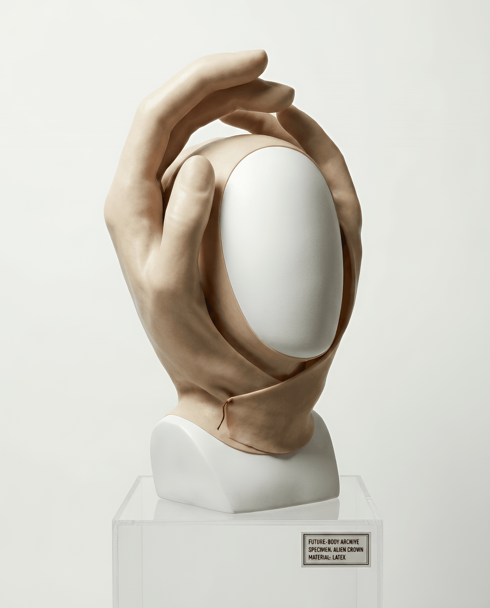 Cranial Specimen — recorded specimen LATEX-CROWN-01.2, Cast latex over a surgical-steel armature